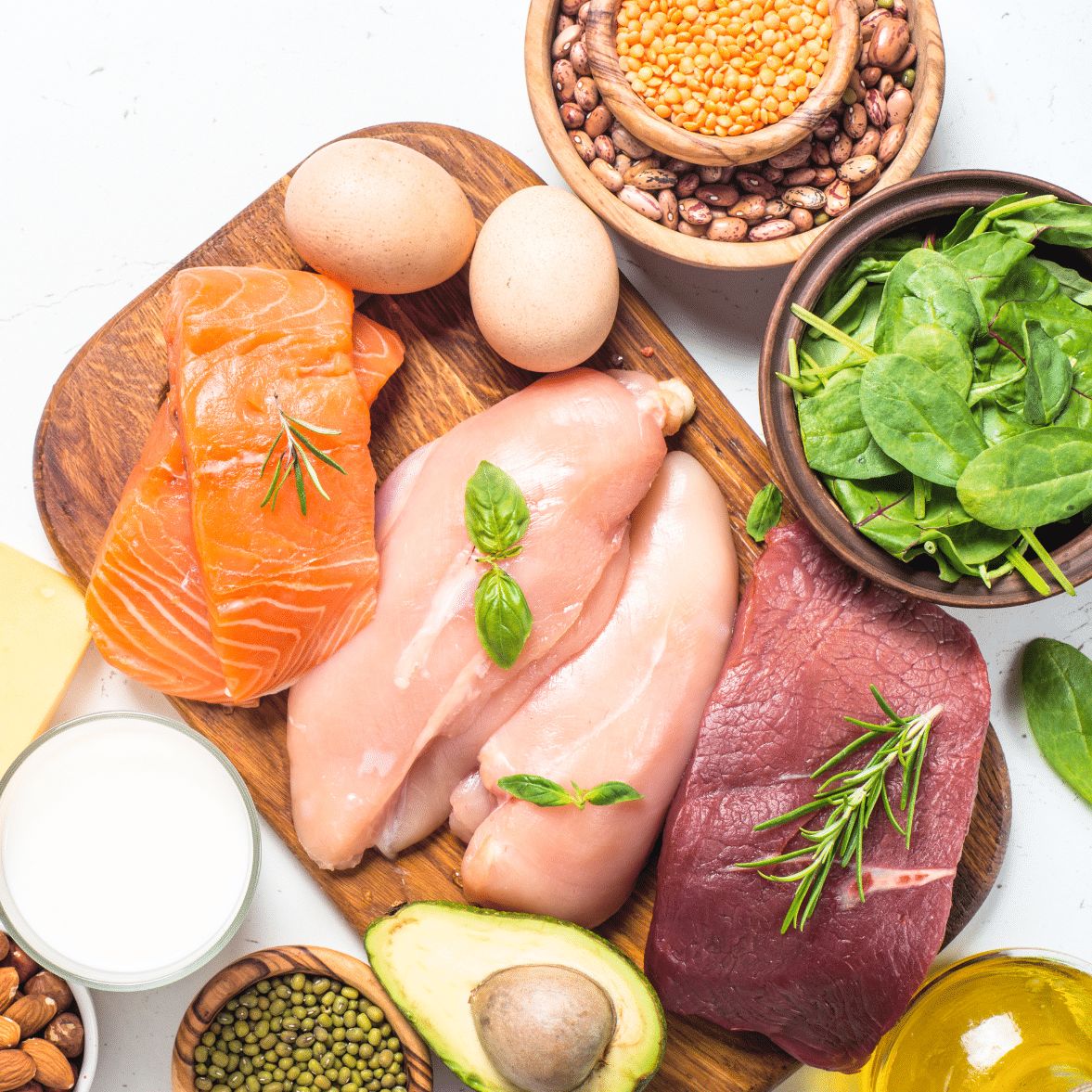 Protein Nutrition